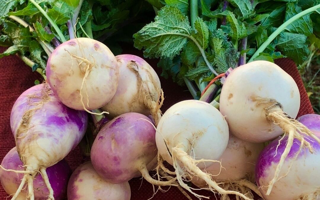 Las 10 mejores formas de disfrutar los nabos