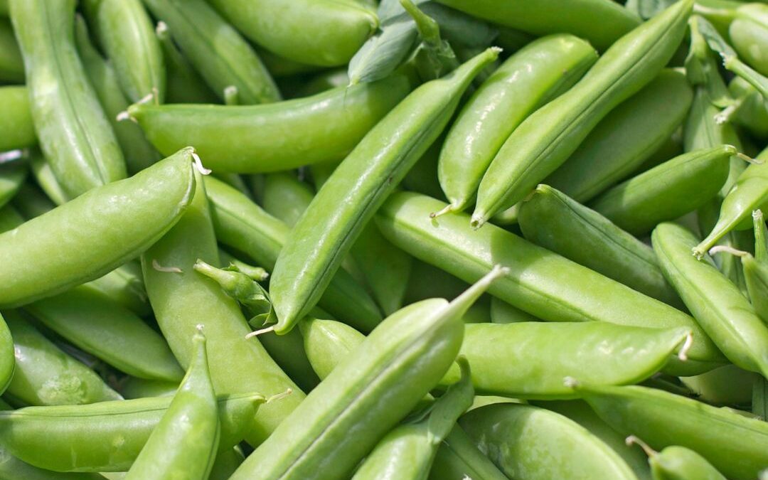 Guisantes
